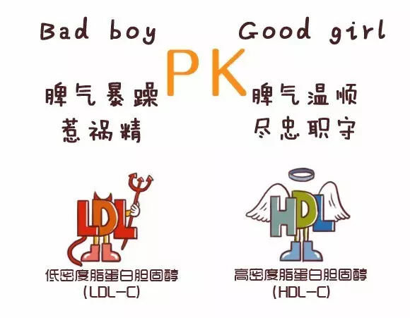 管理胆固醇：降低心血管疾病风险