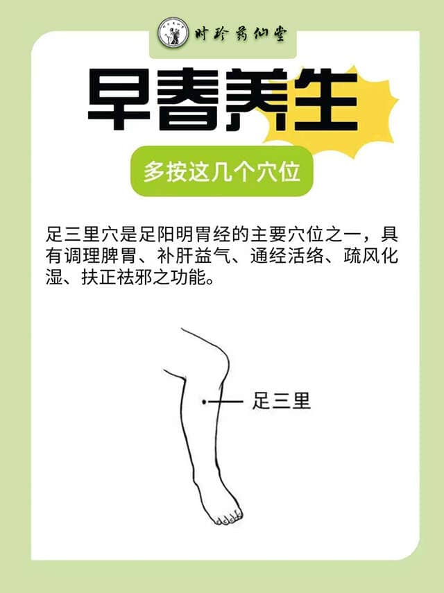 早春养生多按这几个穴位，身体更健康！