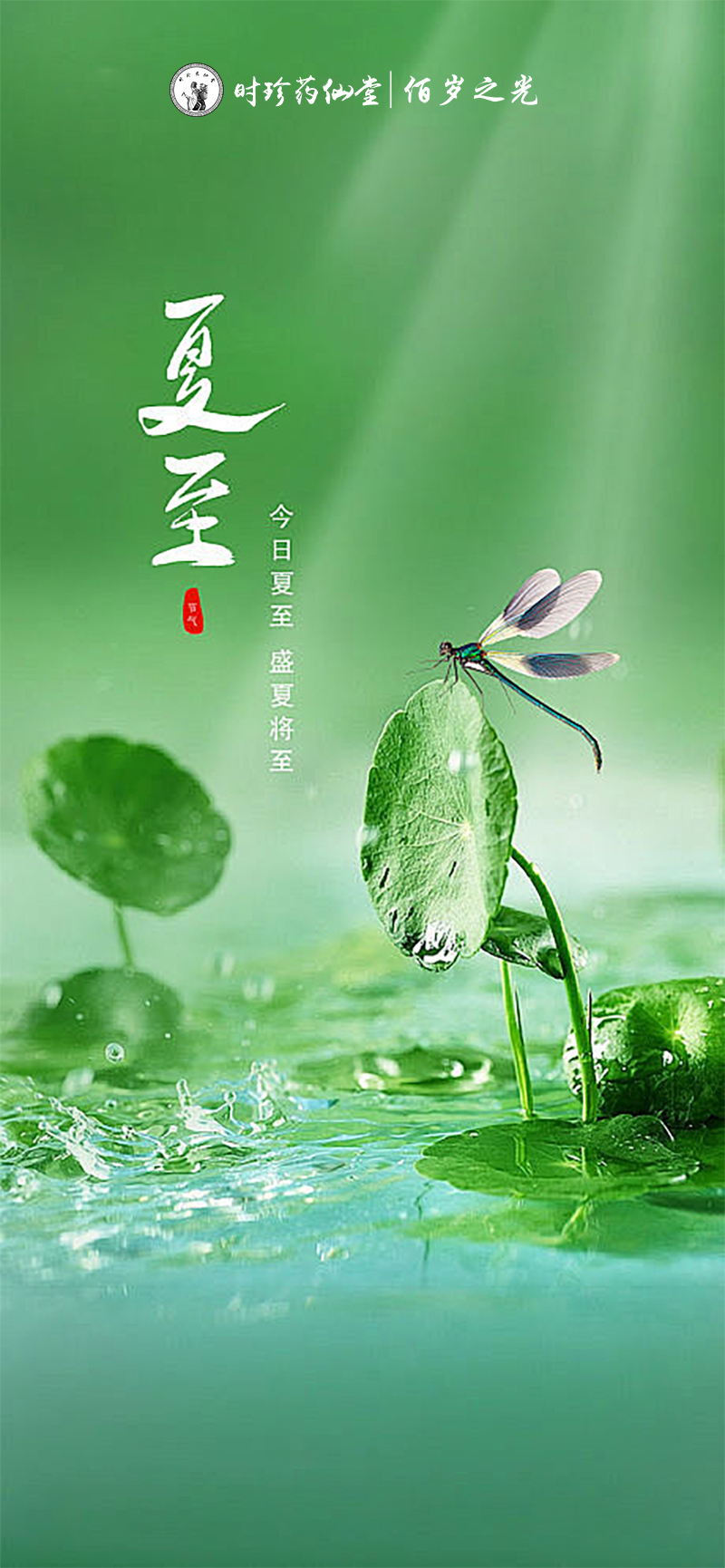 时珍药仙堂佰岁之光恭祝大家夏至安康