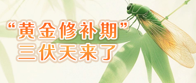 “黄金修补期” 三伏天来了.jpg